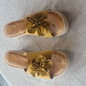 Born mustard slides